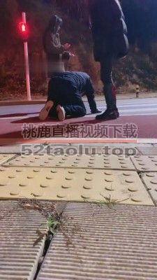 【胖虎】婷宝女高户外双S bf6132