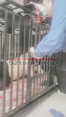 【千梦】我哥偷我袜子被逮住【下】 bf6530