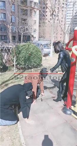 【羽诺】户外遛狗   JS2203153