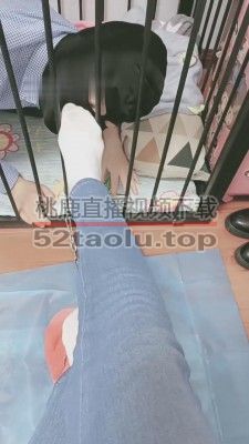 【执念】狗笼里放出来喂食 bf10256