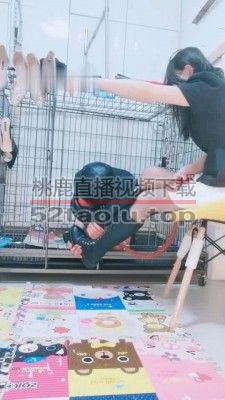 【冷酷爷】喂食囚禁 bf10669