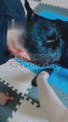 【魅影女神】竞争早餐的两狗奴 bf16289