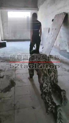 【妮可】废弃厂房的刑罚 bf17063