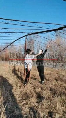 【长春小太阳】户外虐打采花大盗 bf20166