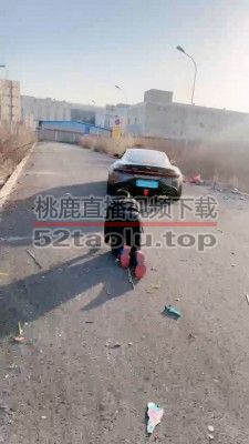 【莉莉丝】超跑马丁靴双S玩狗【双视角版】 bf22888