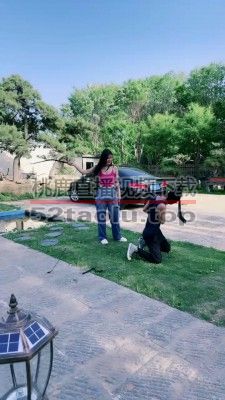 【沅芷大人】户外双S-喂食圣水/捆绑重度鞭刑/踩踏【双视角版】bf27444