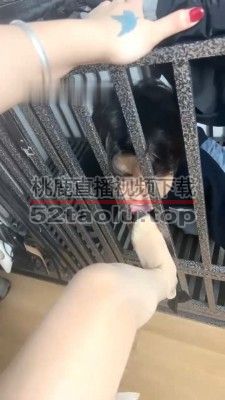 【木子大大】狗笼圈养/舔高跟耳光/犬化/鞭打 bf29018