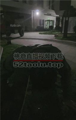 【清禾】小区楼下遛狗犬化男友 JS23110430