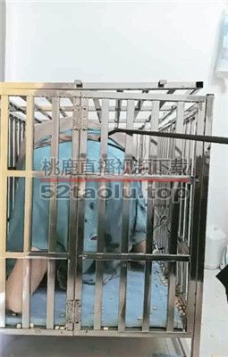 【朱迪女王】圈养狗笼囚禁  JS231117-3