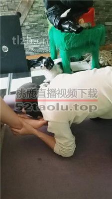 【哈市77s】跪舔高跟臭脚丫 JS231229-7