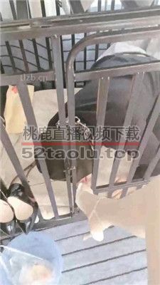 【bibi团】狗笼圈养囚禁/人体鞋架/伺候沐足 JS231230-12