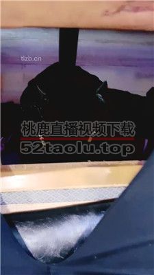 【芷镜】养生馆公开处刑踩狗【完整版】 JS240106-2