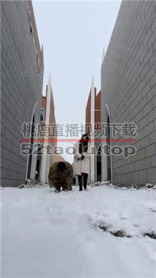 【辣姐】冰天雪地虐狗被路人偶遇-翻车 bf38042