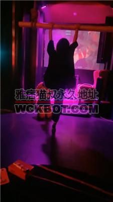 【梦露】SM主题酒吧公开处刑 bf40149