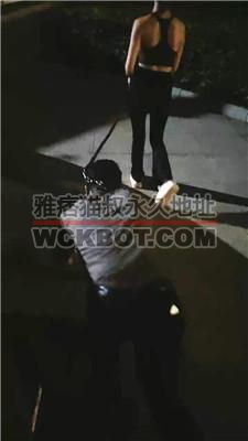 【纯一】3S-户外-轮流虐打踢踹/遛狗/舔脏鞋踩踏【三视角完整版】 bf40858