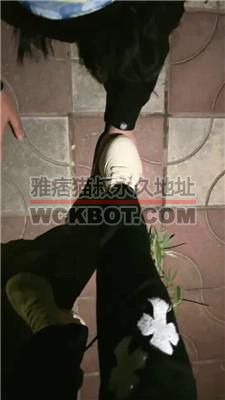 【微甜】户外遛狗-小白鞋踩狗爪/犬化狗爬/袜子塞嘴/踩踏  bf41022