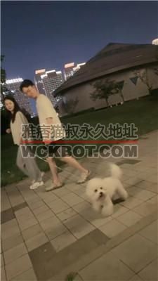 【雨琦】女神犬-户外-下跪狗爬发骚【完整版】 bf41920