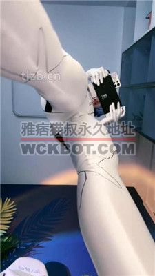 【Vinni维妮eS】人类补完计划 JS240625-10