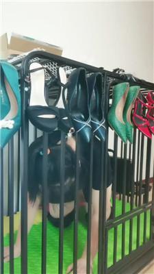 【凌儿女神】母畜-骑马狗爬/鞭打 bf42812