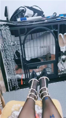 【Dream梦SS】狗笼圈养彻底犬化-第一视角臀辱 JS240731-22