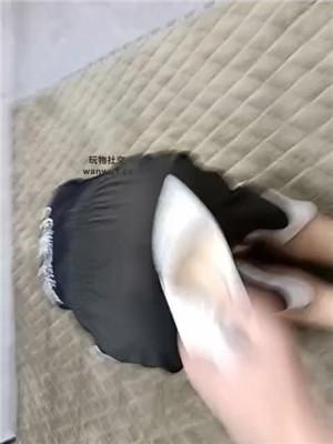 【英英】肉丝脚恋足舔/转胯狗爬/揪耳朵 JS240826-13