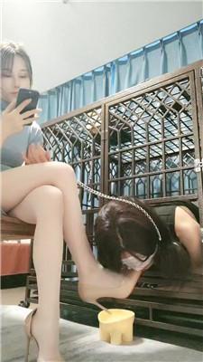 【喵酱紫】狗笼囚禁CD奴 bf44539