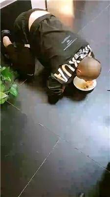 【烟雨】圈养奴脚下喂食 JS241012-11