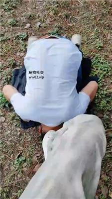 【漫音】爬山偶遇一条贱奴【双视角版】 JS241021-1