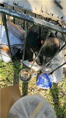 【沅芷大人】女主下班看狗笼圈养奴 JS241106-2