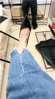 【佳佳】组装狗笼奖励粉鞋白袜踩踏 JS241108-22