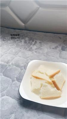 【恩恩】脚下喂食卑微舔 JS241116-21