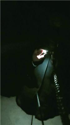 【冰炫】户外虐废偷拍狗 JS241230-36