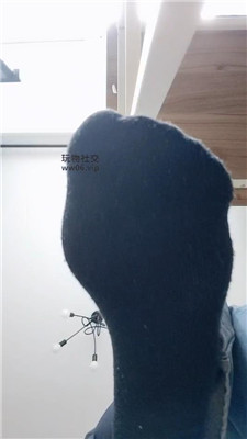 【上海汤圆】红灯黑袜来袭    250125-13