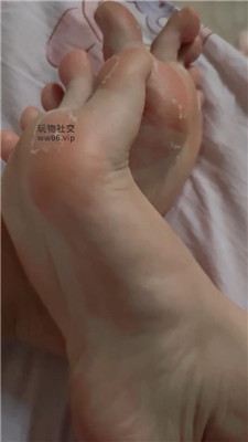 【砂糖】小狗    250126-8