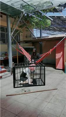 【媚娘工作室】户外囚禁狗笼 JS250406-5