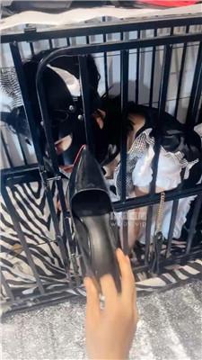 【倪小主】狗笼囚禁母畜 JS250725-42