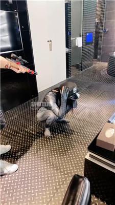 【电子宠物】蜘蛛侠女神的羞辱 bf56299