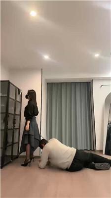 【辣姐】断腿50岁老狗申请出战 JS251113-58