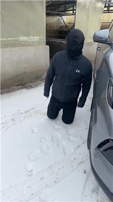 【77夫妻】冰天雪地训人形犬 JS251219-1