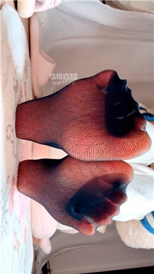 【乔乔在这里】网袜催J    260102-17