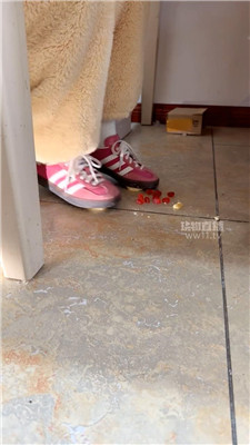 【嘀嘀哒嘀】踩小面包    260203-6